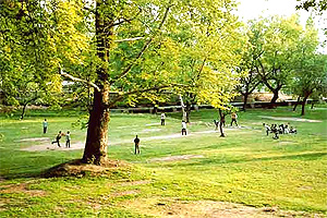 Nishat Bagh
